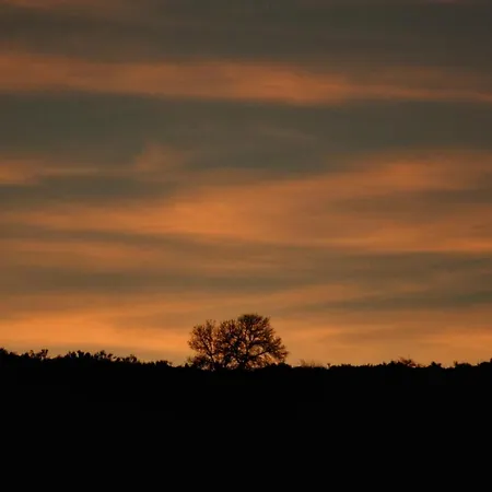 Gredos Estelar مكان تخييم